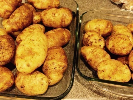 How to Make & Freeze Hash Brown Potatoes ~ TheCentsAbleShoppin.com