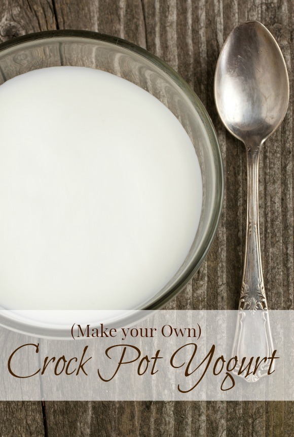 Make your Own Crock Pot Yogurt