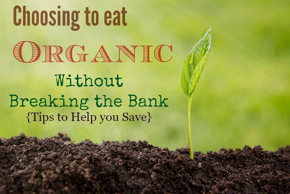 How to Buy and Eat Organic without Breaking the Bank