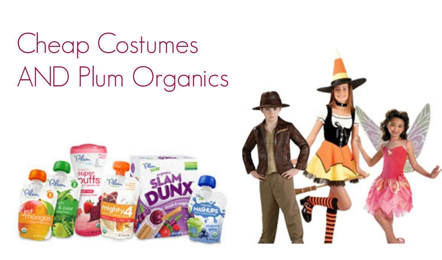 Reader Deal Finds:  CHEAP Costumes in Tempe & Plum Organics at Big Lots