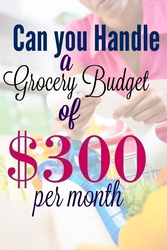 Can you Handle a Grocery Budget of $300 per Month?