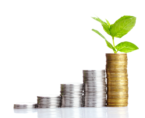 gold coins and plant isolated on white