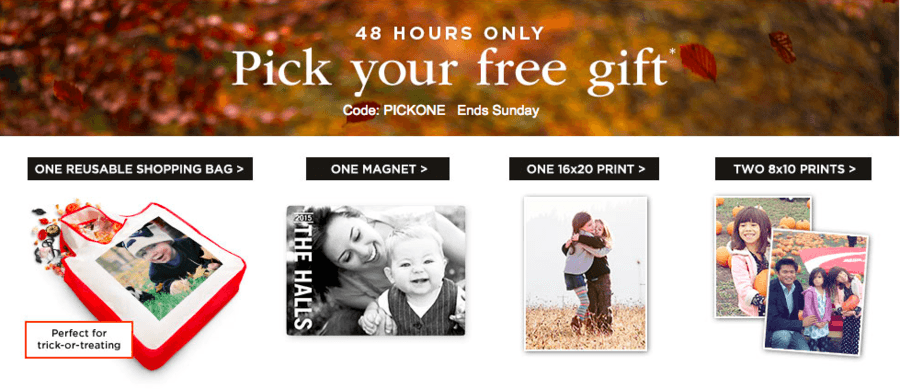 Shutterfly: Choose 1 of 4 FREE Items ~ 48 Hours ONLY