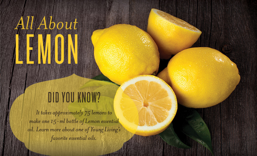 All About Lemon Essential Oil - Young Living