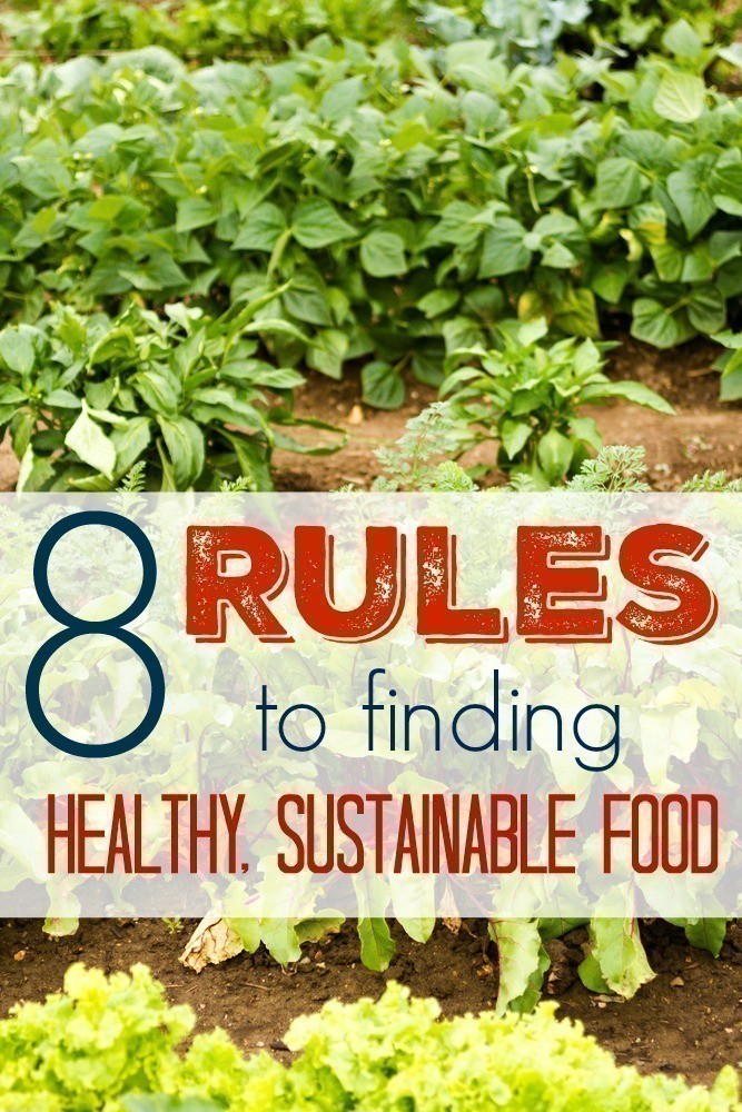 8 Rules to Finding Healthy, Sustainable Food
