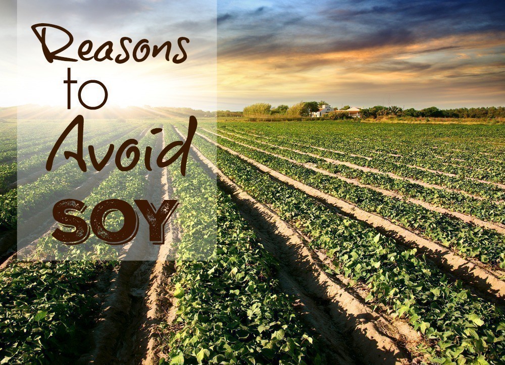 Reasons to Avoid Soy
