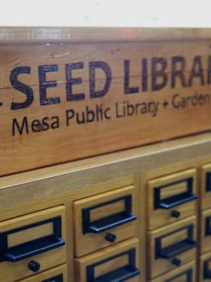 Seed Library Opportunities in Arizona