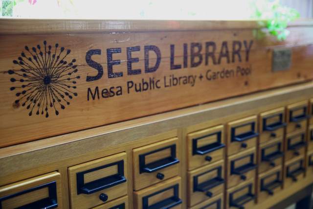 A seed library is a collection of donated (vegetable, fruit & flower) that are available to patrons, or cardholders of the local public library.  A seed library is a wonderful resource if you are looking to plant an urban garden.