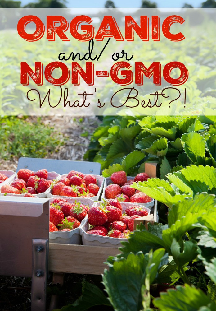 The Differences between Organic and Non-GMO