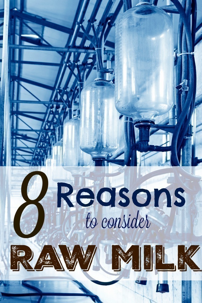 8 Reasons to Consider Drinking Raw Milk