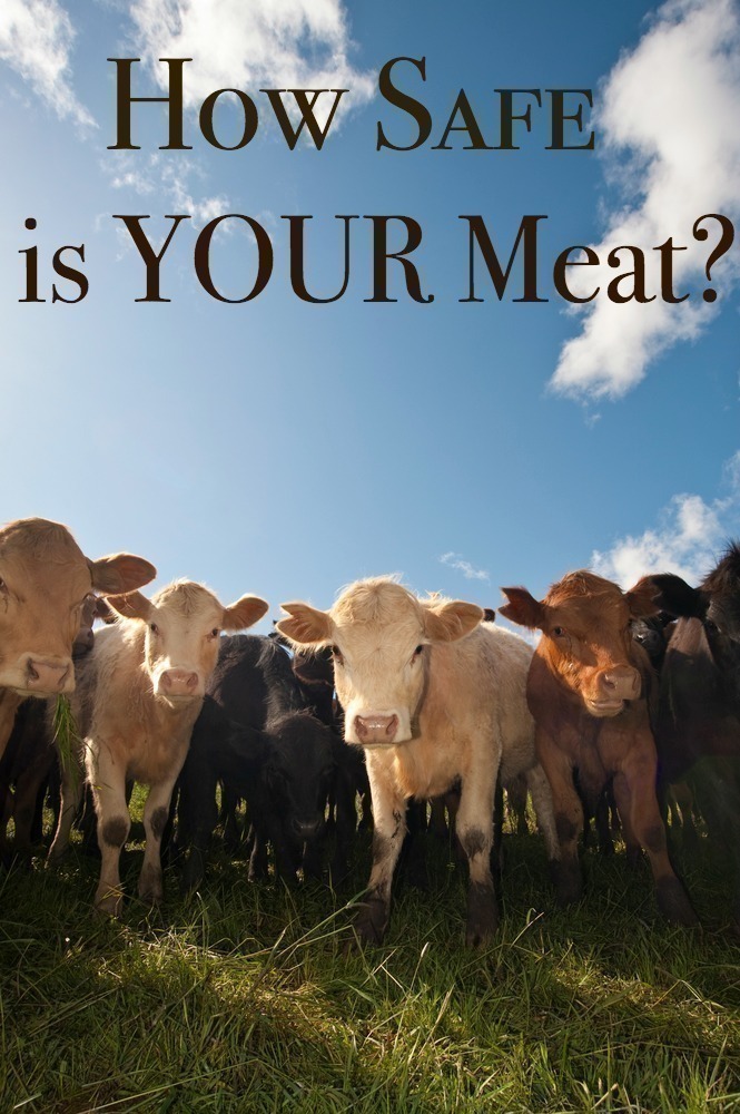 How Safe is YOUR Meat?