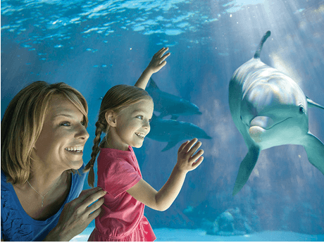 FREE SeaWorld Teacher Fun Card + 3 FREE Single Day Tickets (Teachers in AZ & CA)