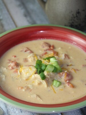 Instant Pot Cheesy Chicken Enchilada Soup