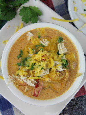 Instant Pot Cheesy Chicken Enchilada Soup