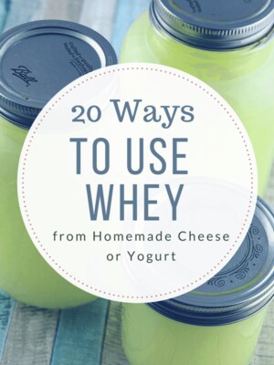 20 Ways to use Whey