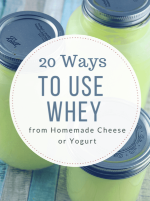 20 Ways to use Whey