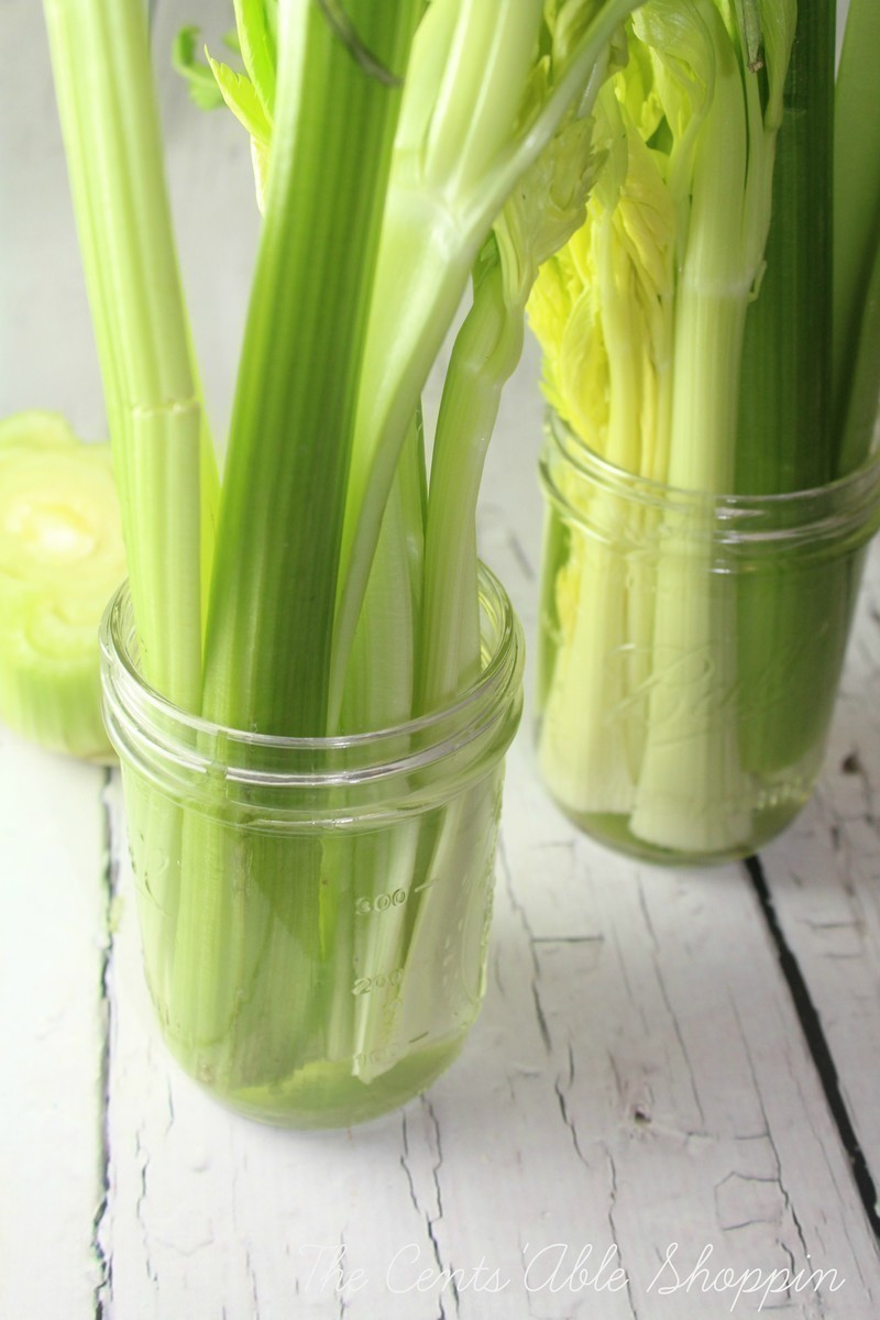 Celery not used within a few days can go limp - don't toss it!  You can easily revive it with a few simple steps.