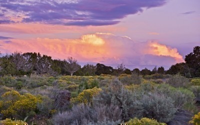 tourist attractions near me app Unique Day Trips to Make in Arizona