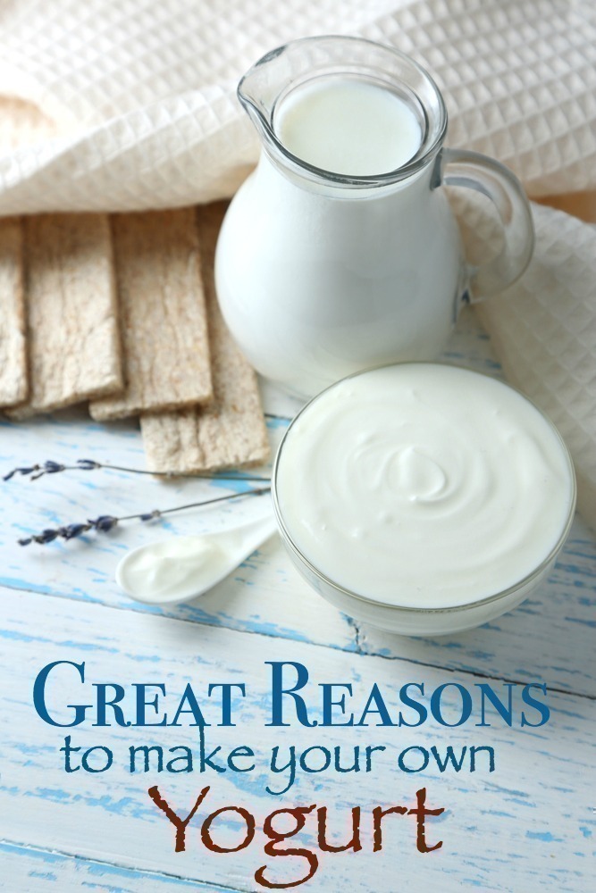Great Reasons to Make your Own Yogurt