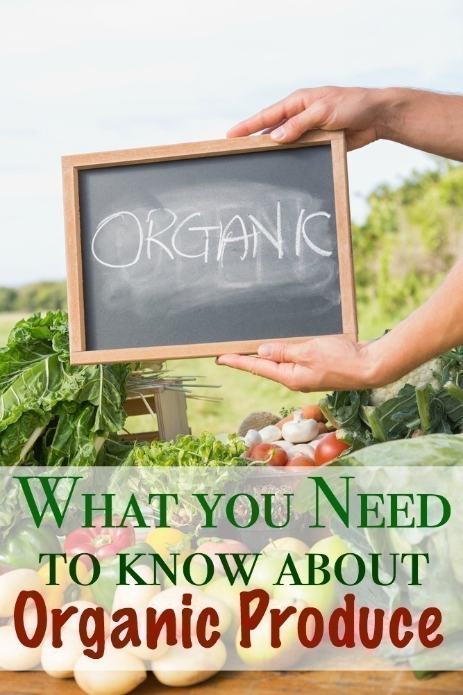 What You Need to Know About Organic Produce