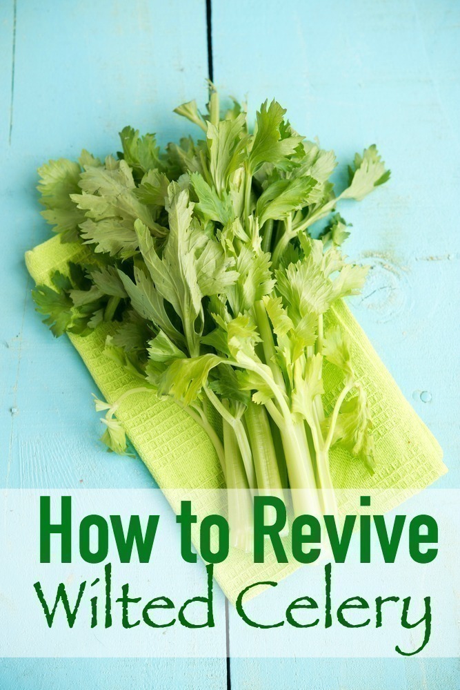 How to Revive Wilted Celery