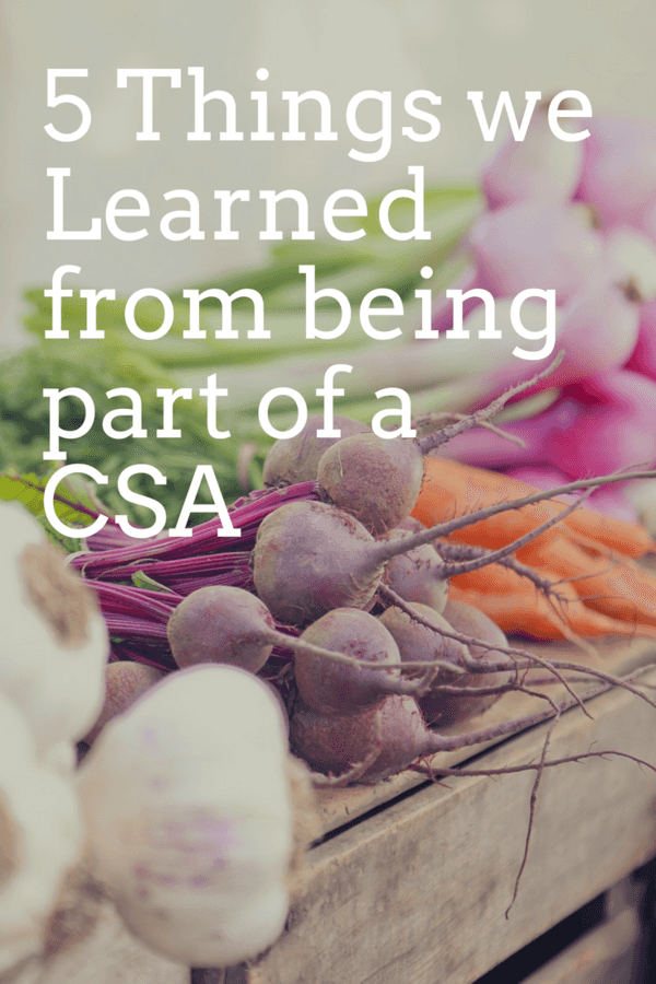 5 Things We Learned from Being Part of a CSA