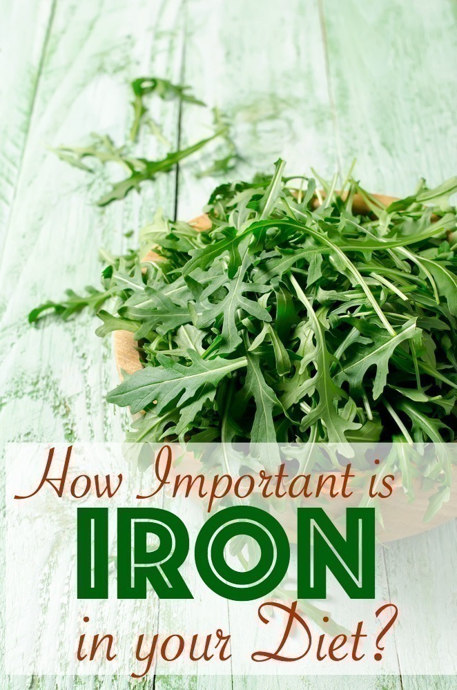 How Important is Iron in your Diet?