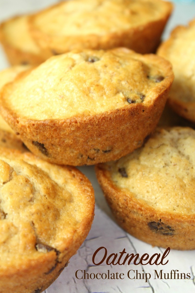 Oatmeal Chocolate Chip Muffins 