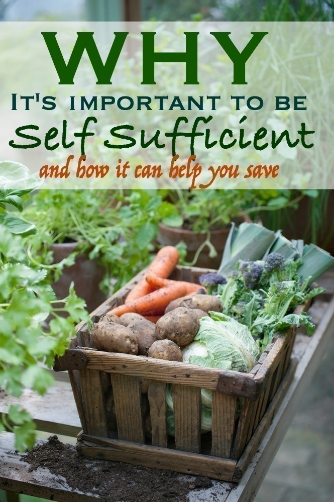 Why It’s Important to Be Self Sufficient (+ How it Can Help you Save)