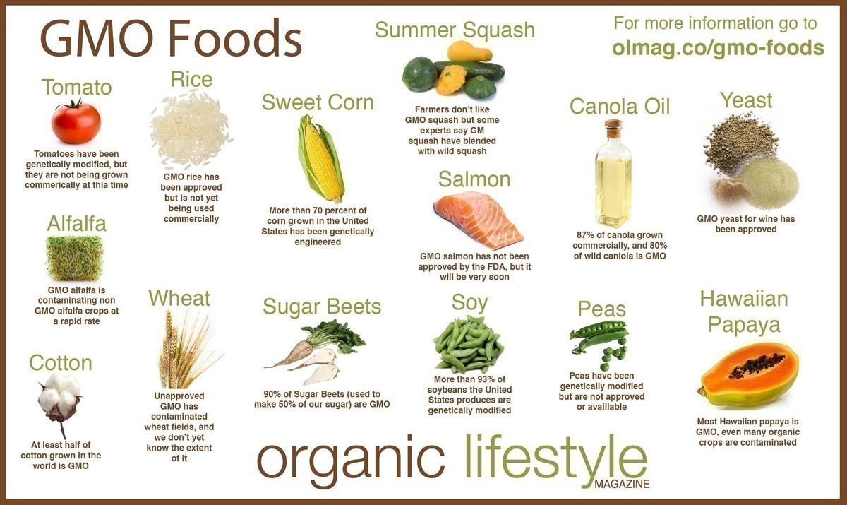 Photo Credit: Organic Lifestyle Magazine