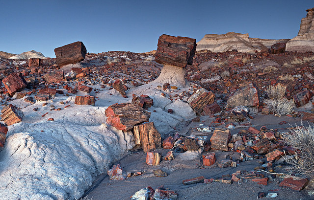 Petrified Forest, Holbrook