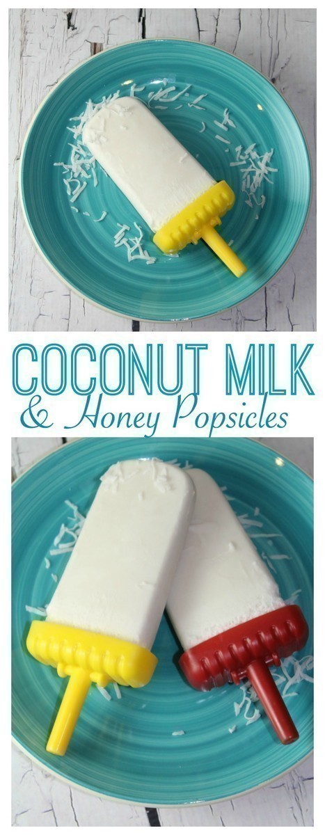 Coconut Milk & Honey Popsicles