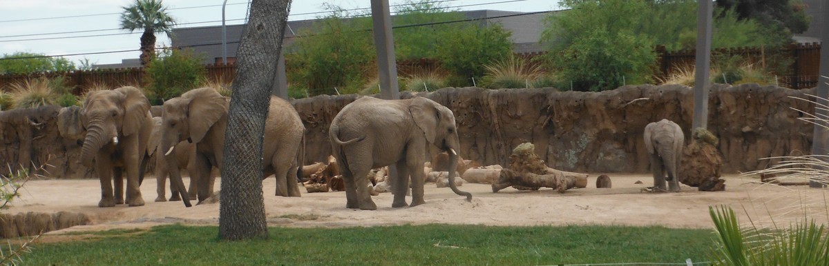 Photo Credit: ReidParkZoo.org