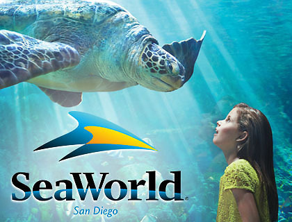 SeaWorld San Diego Free Admission For Veterans + 3 Guests