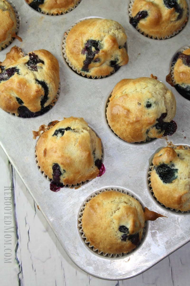 These Sour Cream Blueberry Muffins are not your traditional muffin!  They are a blend of coconut oil, minimal sugar and fresh blueberries encapsulated in a yummy sour cream batter.