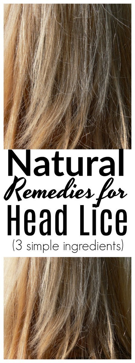 Many kids deal with unwanted head lice throughout the school year. Here are some natural remedies that are gentle, non-toxic, and incredibly effective.