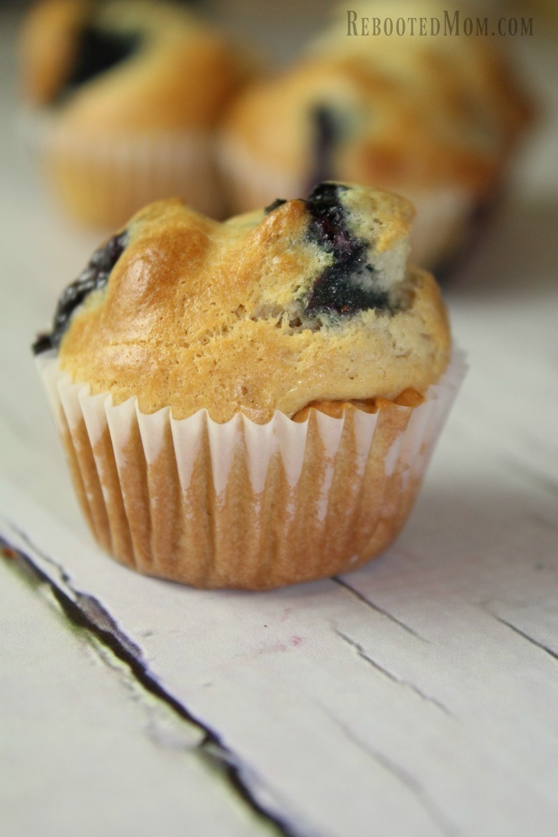 Sour Cream Blueberry Muffins