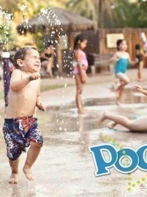 60% OFF POGO Pass + FREE Admission to Sunsplash, Urban Jungle, Phoenix Zoo + More