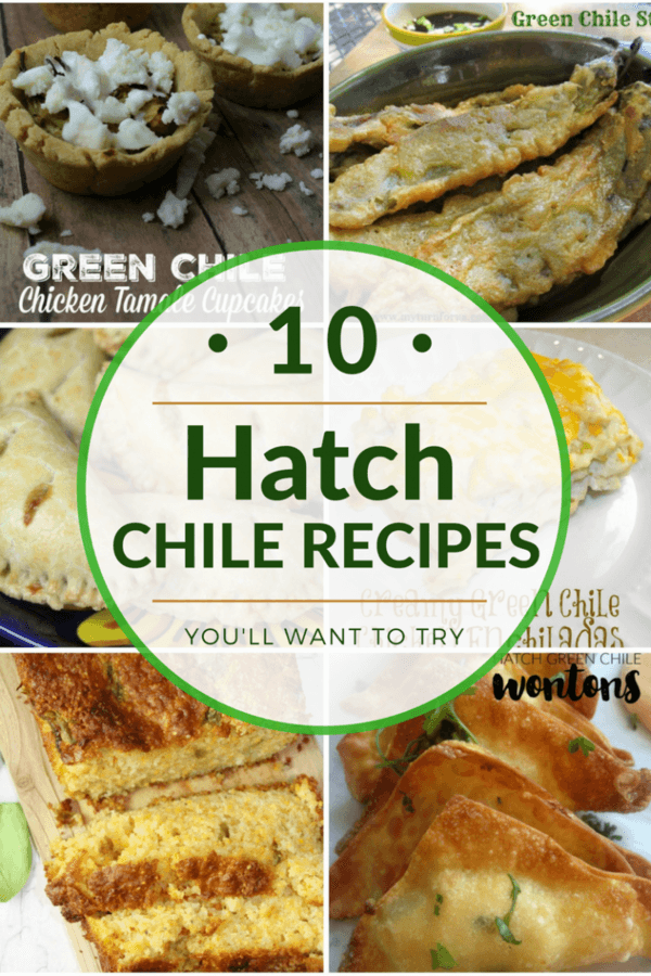 10+ Hatch Green Chile Recipes The CentsAble Shoppin