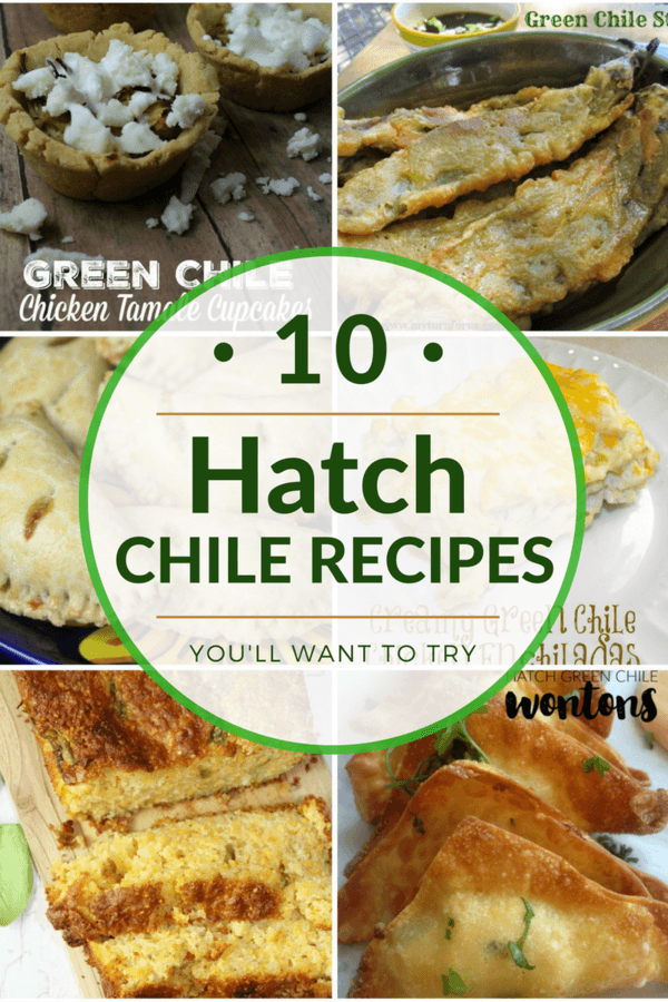 10 Hatch Green Chile Recipes 