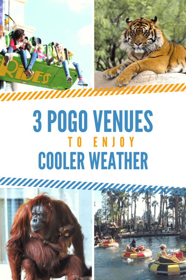 3 POGO Venues to Enjoy Cooler Weather