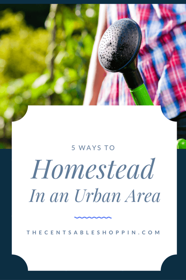 5 Ways to Homestead in an Urban Area