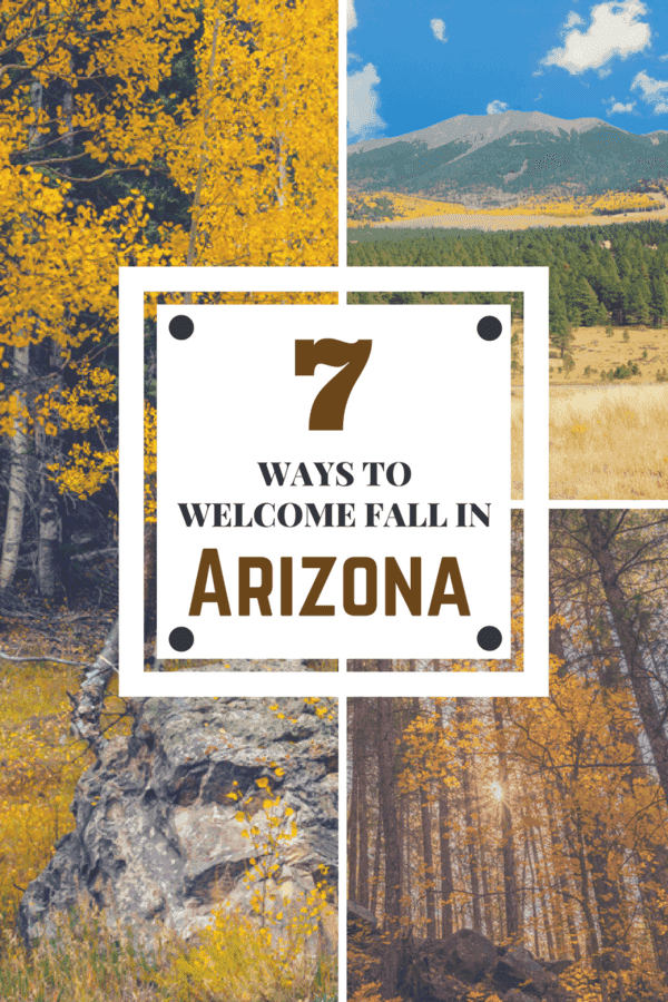 There are many ways to welcome the onset of fall here in the beautiful state of Arizona - here are just a few ways you can embrace it this year with your family.