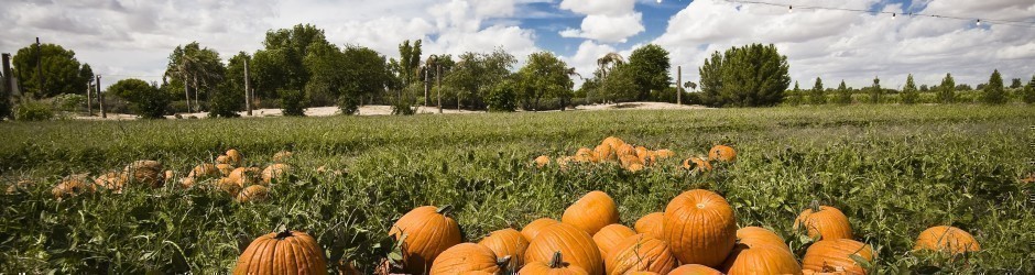 Schnepf Farms Fall Festival: Two for One Admission Offer