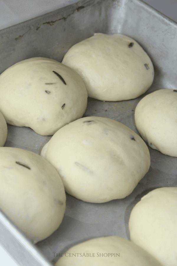 Rosemary Sea Salt Dinner Rolls