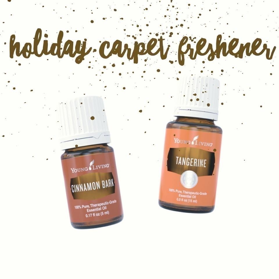 This holiday carpet freshener is an easy and inexpensive way to freshen the room with ingredients that are in your pantry.