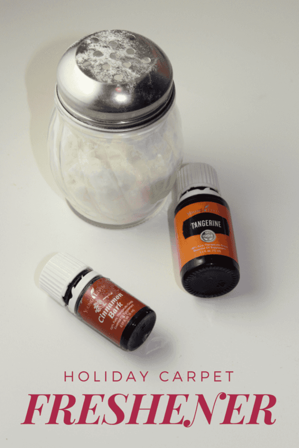 Holiday Carpet Freshener The CentsAble Shoppin