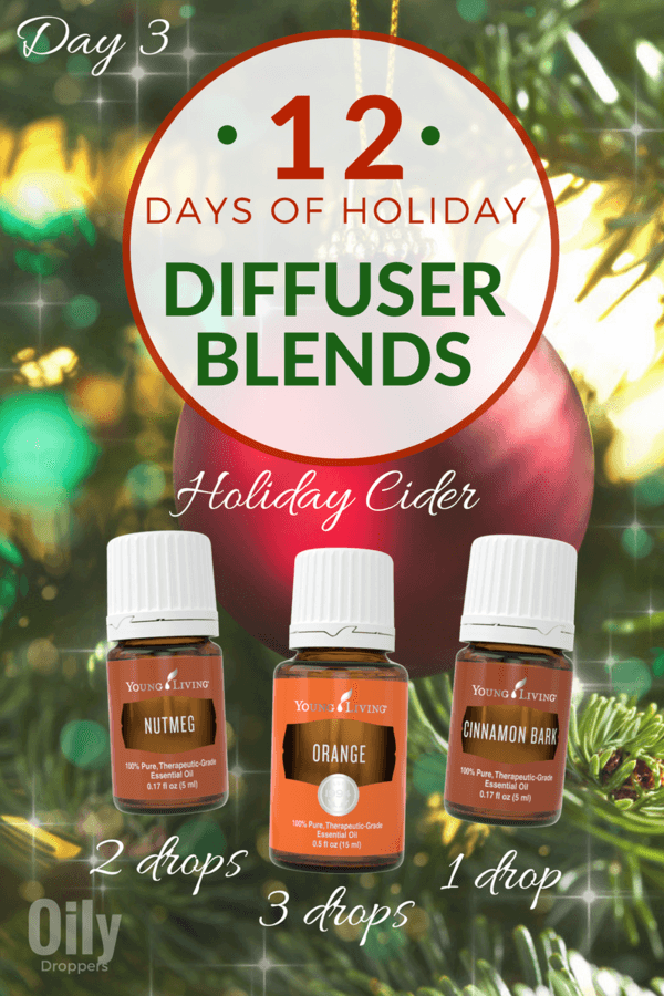 12 Days of Holiday Diffuser Blends (Holiday Cider)