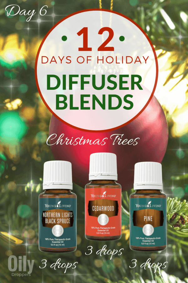 12 Days of Holiday Diffuser Blends (Christmas Trees)