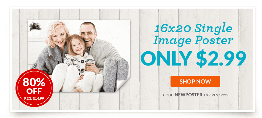 Single Image 16×20 Poster just $2.99